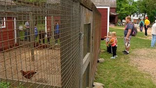 Eidem Farm Entertainment