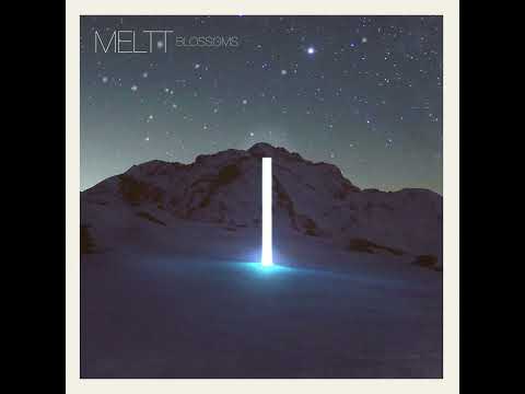 Meltt - Blossoms (Official Music Visualizer)