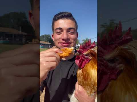 Eat A Chicken In Front Of A Chicken 🐔
