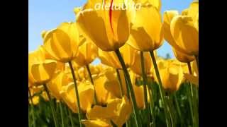 al rey marcos witt con  letra