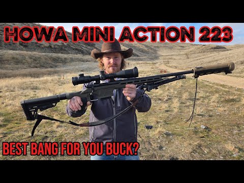 Bietet die Howa Mini Action 223 das beste Preis-Leistungs-Verhältnis?