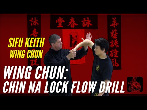 Wing Chun: Chin Na Loc Flow Drill