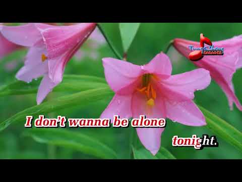 Karaoke   Say You Will   Giọng Nữ ✔