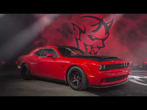 GATO X Bullet   POVESTEA LUI 2 2020 #211