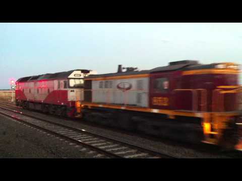 El Zorro Light Locos at Gheringhap