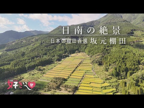 【日南の絶景③】坂元棚田が好きぃ～♡2024