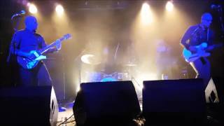 The Blind Shake - I Shot All The Birds - Live @ dB's 2017