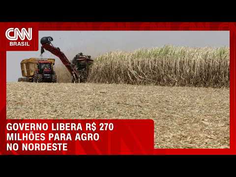Governo libera R$ 270 milhões para apoiar produtores de cana do Nordeste | CNN AGRO NEWS