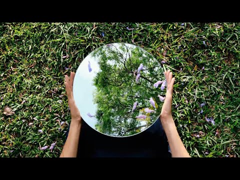 Gaël Faye - Marée Haute (Animation)