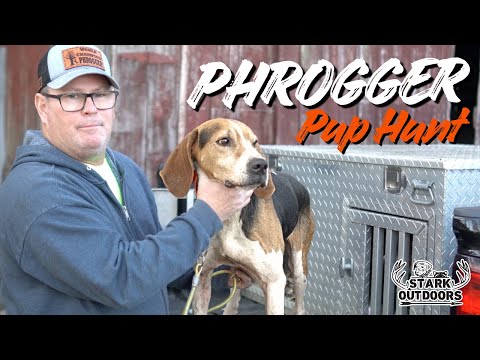 2025 Phrogger Pup Hunt – Young Hounds, Big Moments, Real Hunting