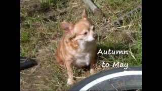 Autumn to May videobykeb