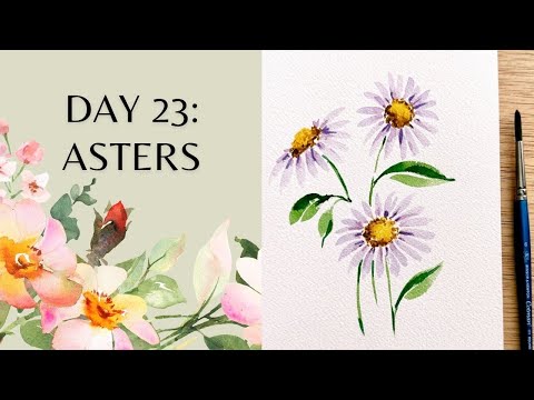 Day 23 - watercolor asters