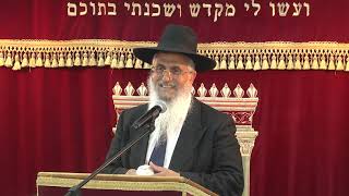 כיצד משיבים את הגזלה | חושן משפט | הרב יורם סרי