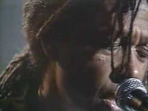 Humbiumbi video