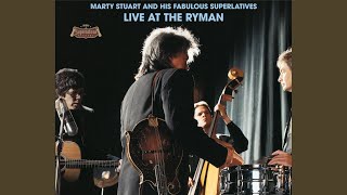 The Great Speckled Bird