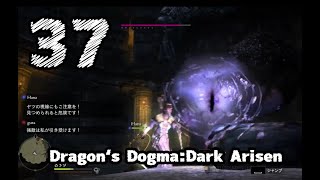 #37【Dragon's Dogma: Dark Arisen】デカい目玉【左腕のボスぬこ】