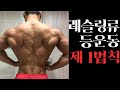 레슬링류 등운동 제 1법칙-(부제:실전압축근육 맹글기)