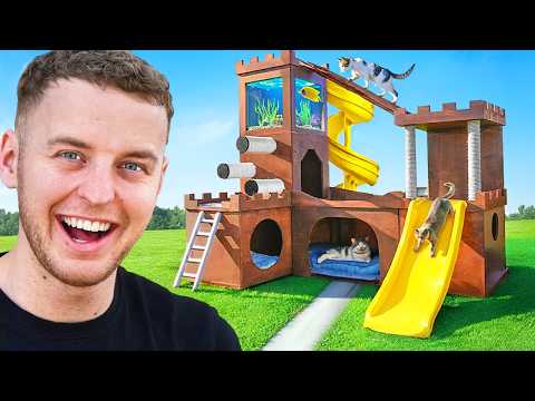 Wij Bouwen Een €2000 Kattenkasteel!