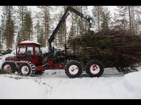 PUUTA POIKKI JA PINOON 28 2 2024