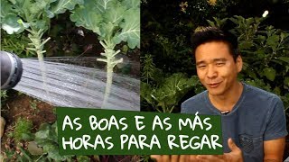 Miniatura do vídeo