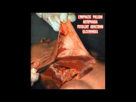 Lymphatic Phlegm / Autophagia / Feculent Goretomb / Ulcerrhoea - 4-Way Split CD FULL ALBUM (2002)