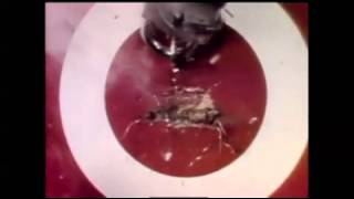 Master Lock Commercial