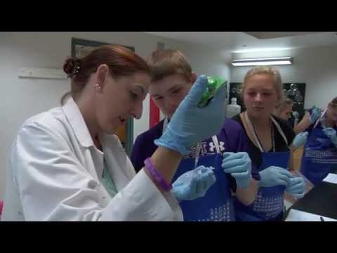 Summer Accelerator, Attacking the Cloning Strategy