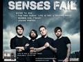 Senses Fail - Hair of the dog [New Track 2008] (Lyrics)
