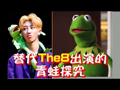 SEVENTEEN(세븐틴) -替代The8出演的青蛙探究(About the Frong of displacement activities)