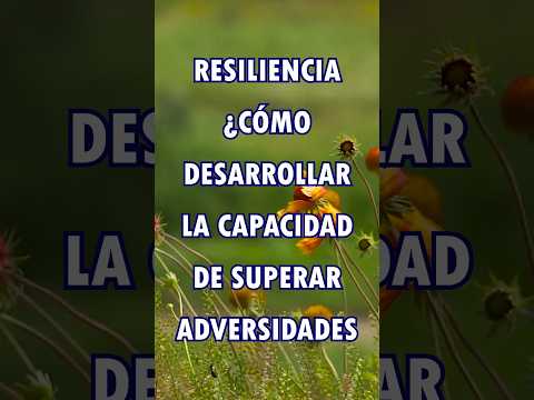 América Sarai Pérez Balcazar-61