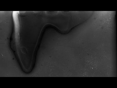 The Death of a Star Is Such a Beautiful Thing (2024) - dir. Jesse Larrivée