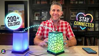 Friendsip Lamp Comparison
