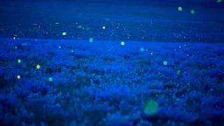 Ace Cannon - Tuff.wmv