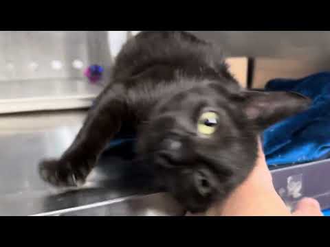 Aguardiente 192866, another name for love and fun. The sweetest baby girl❤️