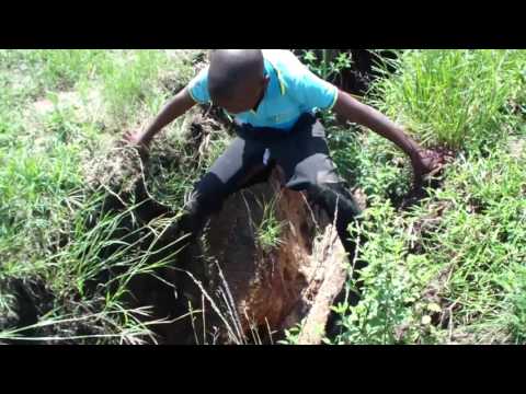 THE GREAT XIMIYETO KHOSA mp4 2