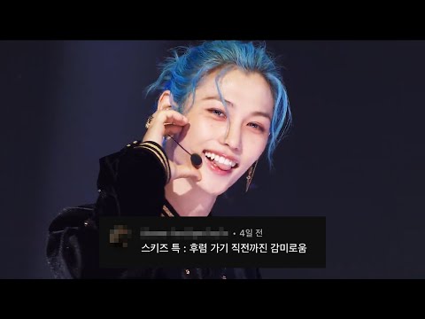 스트레이키즈_특_댓글모음
