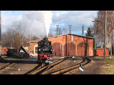 Wilder Robert in Mügeln - 99 1574