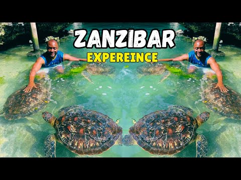 The ULTIMATE Zanzibar Experience With Dr Awah - Sightseeing, Beaches And Swimming With Turtles