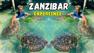 The ULTIMATE Zanzibar Experience With Dr Awah - Sightseeing, Beaches And Swimming With Turtles