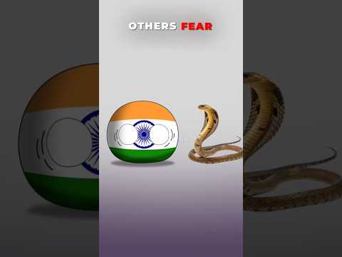 Other Countries Fear vs This Country |#shorts #countryballs #india #usa #indonesia