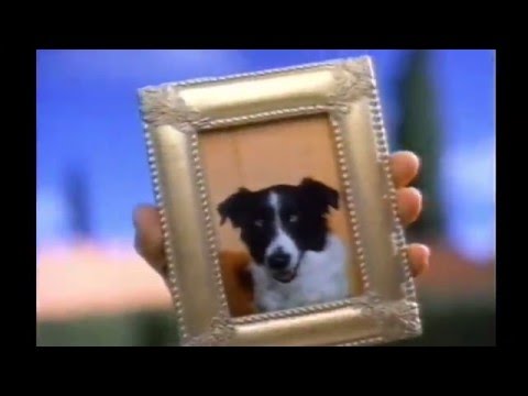 Coca Cola 'Dog' 1990's TV Commercial
