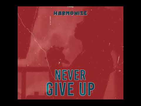 HARMONIZE-NEVER GIVE UP BEAT / RAMAH