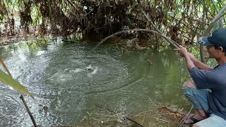 Download lagu WOW GILA.!!! IKAN APA BUAYA.!!!JORAN PEMANCING INI SAMPAI MAU PATAH MANCING DI HUTAN LIAR mp3