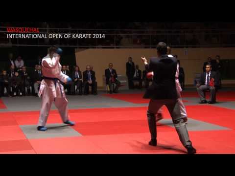 Final -78kg / Davy Dona VS Stanislav Horuna // Wasquehal International Open of Karate 2014