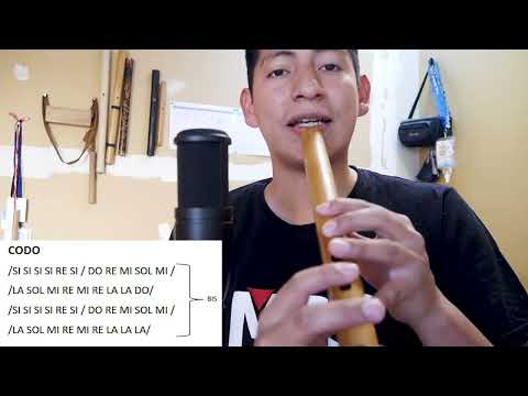 LAMARINA - BELLA LAMARINA - QUENA TUTORIAL