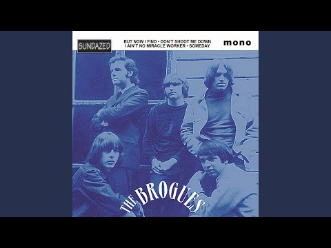 I Aint No Miracle Worker - The Brogues
