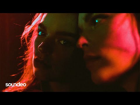 VetLove - City Light