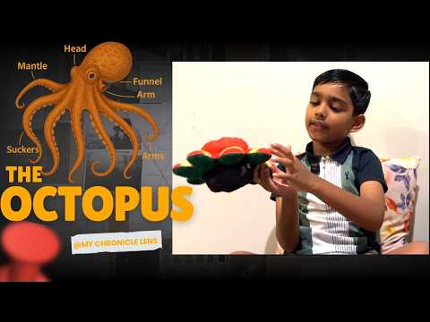 Why Octopus Is the Coolest Ocean Creature — Mokshith Explains! #octopusfacts