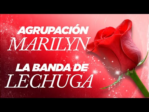Enganchado La Banda de Lechuga y Agrupacion Marilyn | Exitos Cumbia Testimonial Argentina 2022