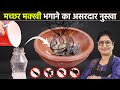 5 मिनट मे मच्छर मक्खी चूहे भाग जायेंगे �